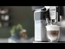 DeLonghi PrimaDonna Elite Experience Automatic Coffee Maker (ECAM650.85.MS) Metal Silver