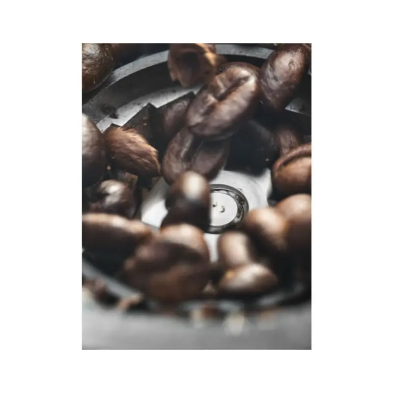Dedica-Conical-Burr-Grinder-3.webp